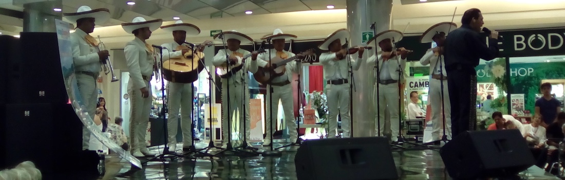 Servicios de mariachis