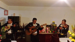 Mariachis DF